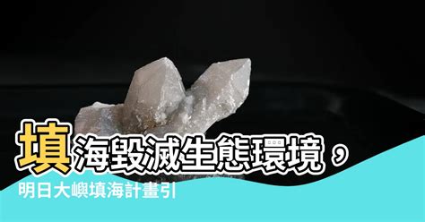 填海 壞處